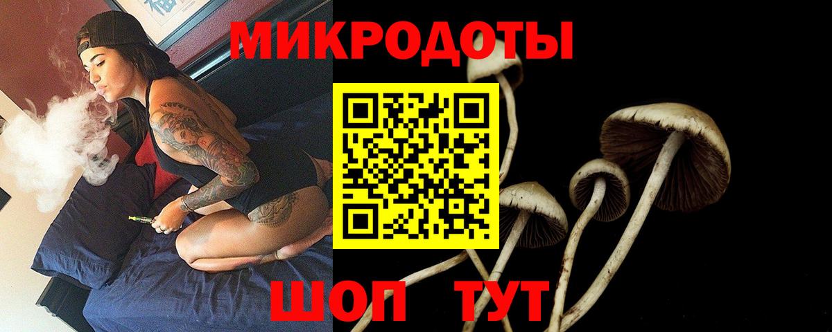 Петрозаводск  Галлюциногенные грибы MAGIC MUSHROOMS  Вход с VPN  Галлюциногенные грибы GOLDEN TEACHER 